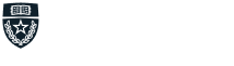 texas logo
